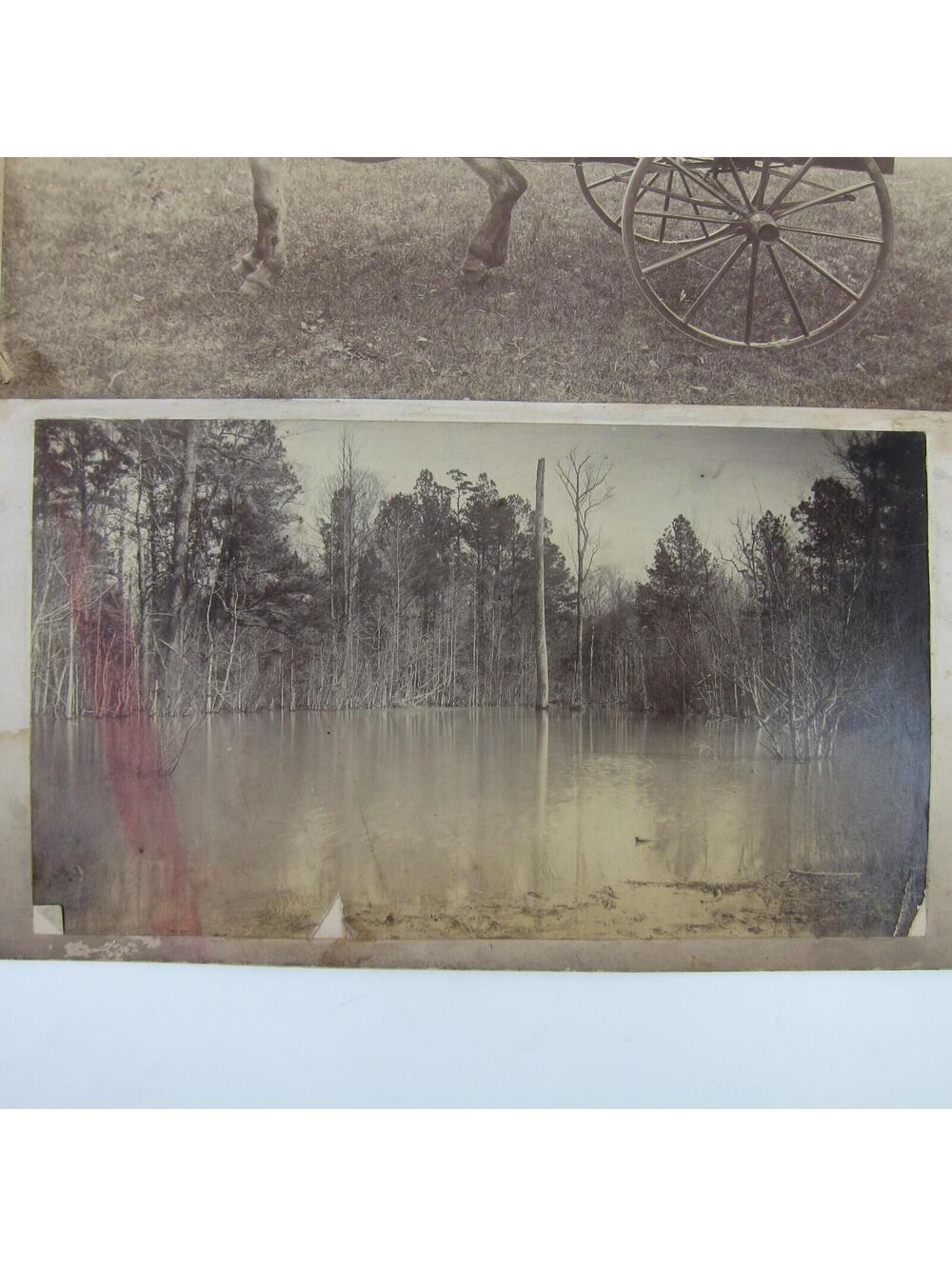 Antique Photographs 1880s Children Boy & Girl at Creek Ride Donkey Cart Lot of 4 - Picture 9 of 12